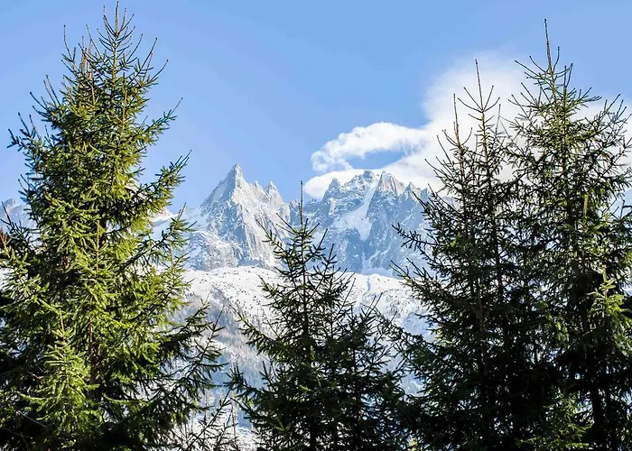 Domek alpejski La Source - Year *